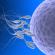 Illustration for article titled Sacré bleu! French men have suffered a dramatic drop in sperm count and quality